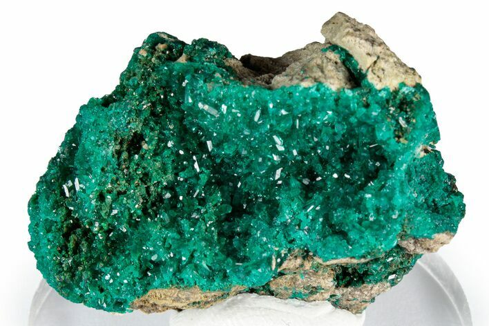 Sparkling Emerald-Green Dioptase Crystal Cluster - Congo #348535